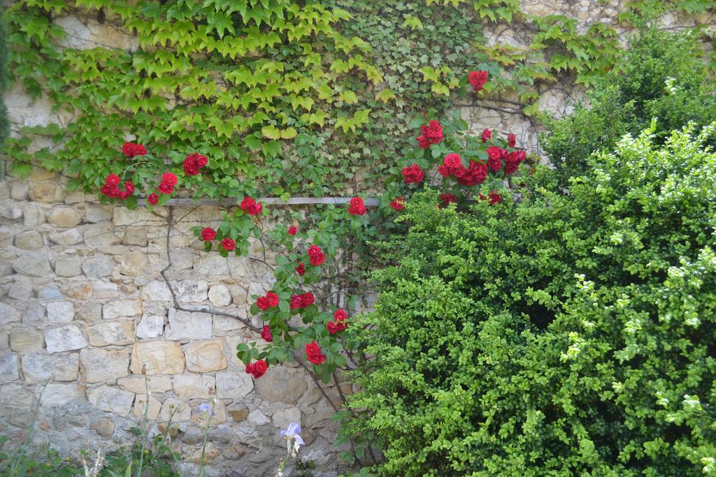 Maison D'Hotes Les Fougeres ミルマンド エクステリア 写真