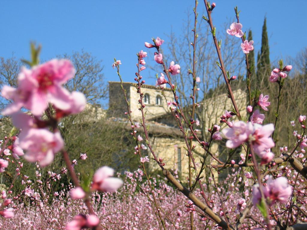 Maison D'Hotes Les Fougeres ミルマンド エクステリア 写真